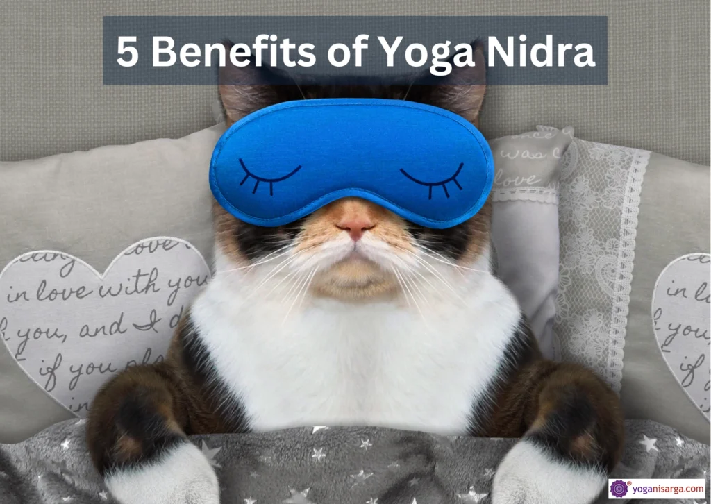 Yog Nidra